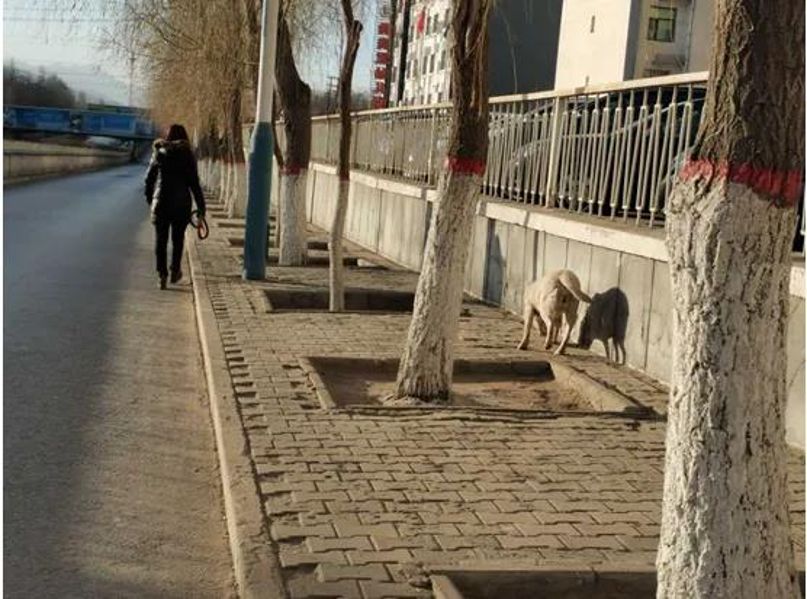 微信图片_20210126095155