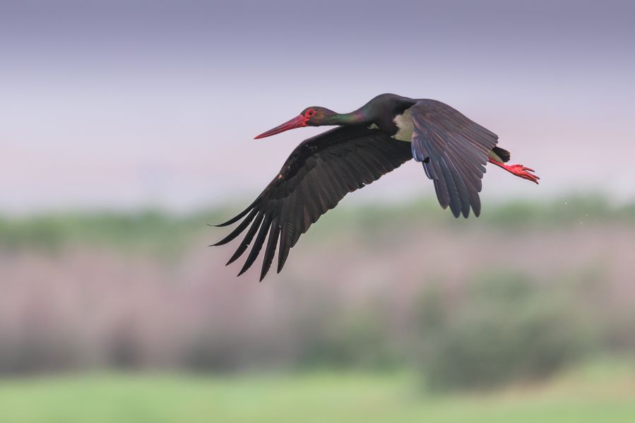 微信图片_20240208150118 微信图片_20240208150118