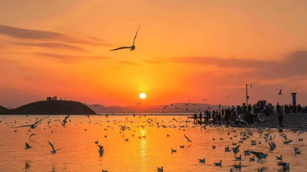 屏幕截图 2026-08-24 091645