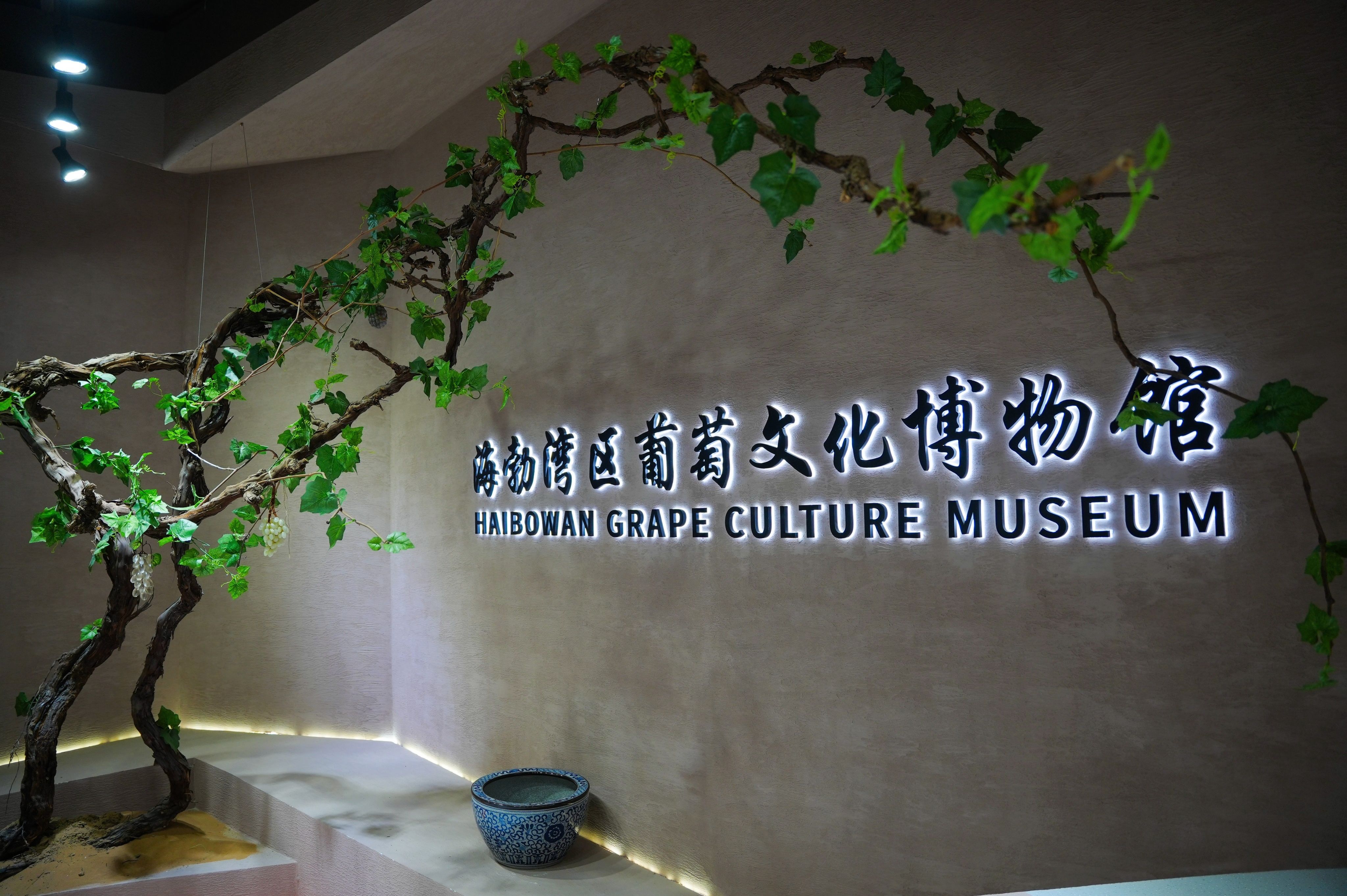 WZ_01382-opq3221275955