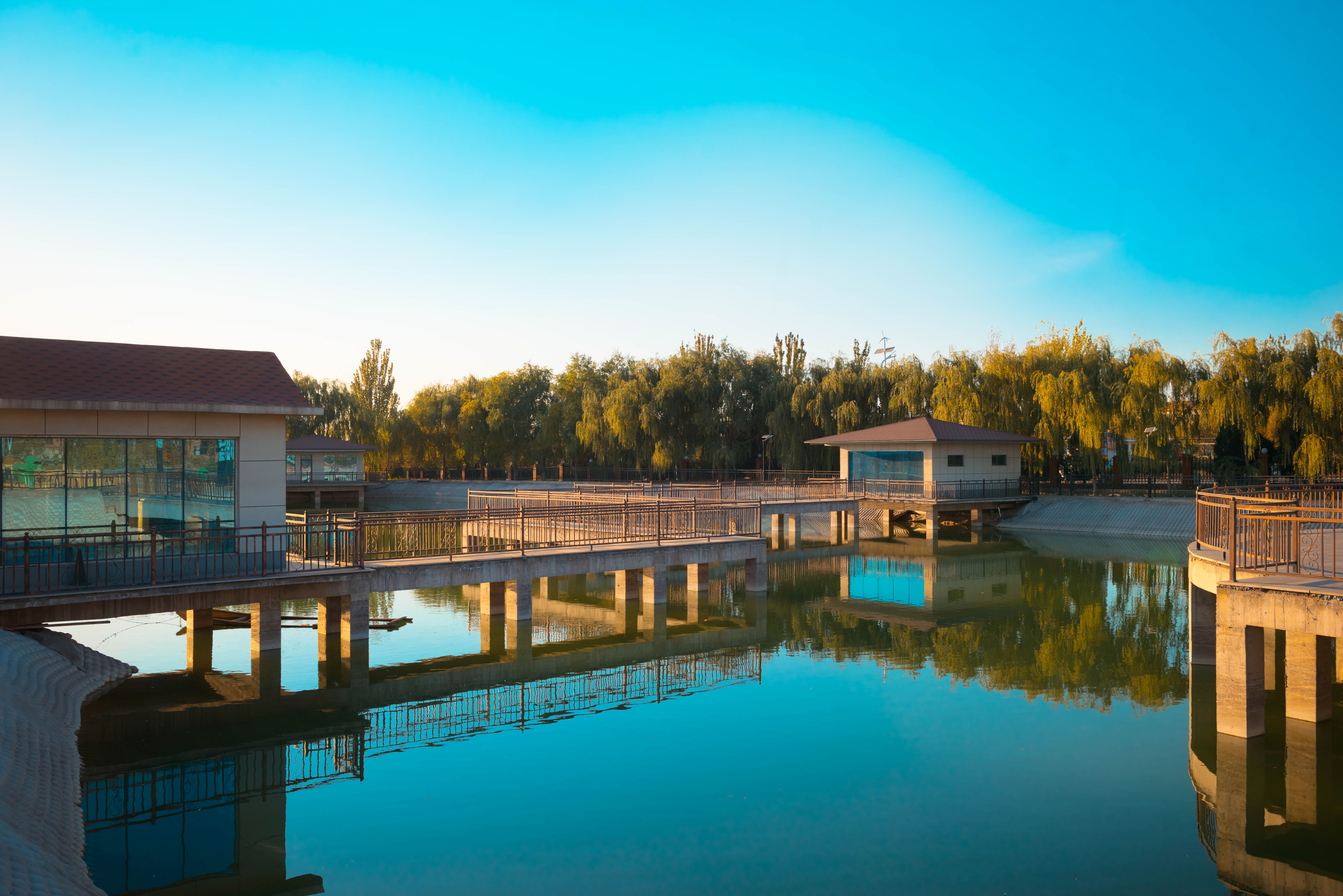 微信图片_20231206113742