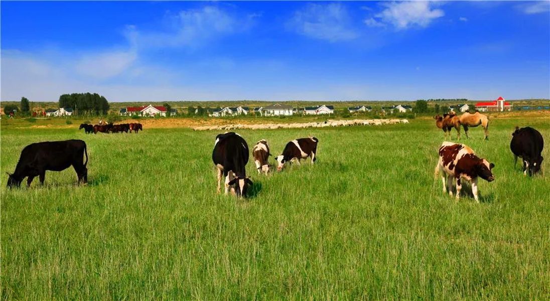 微信图片_20211103105210