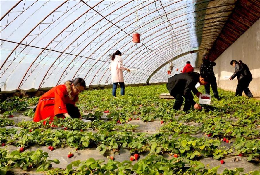 微信图片_20211103105525