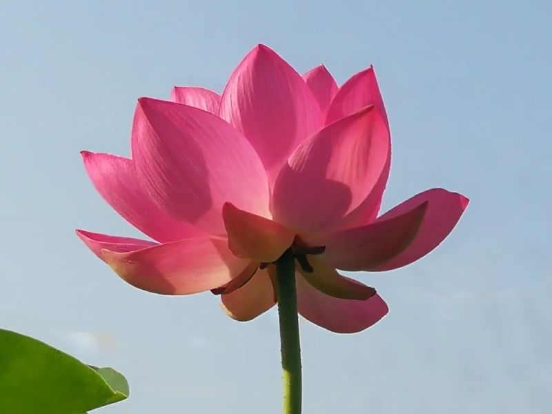 640.webp (3)