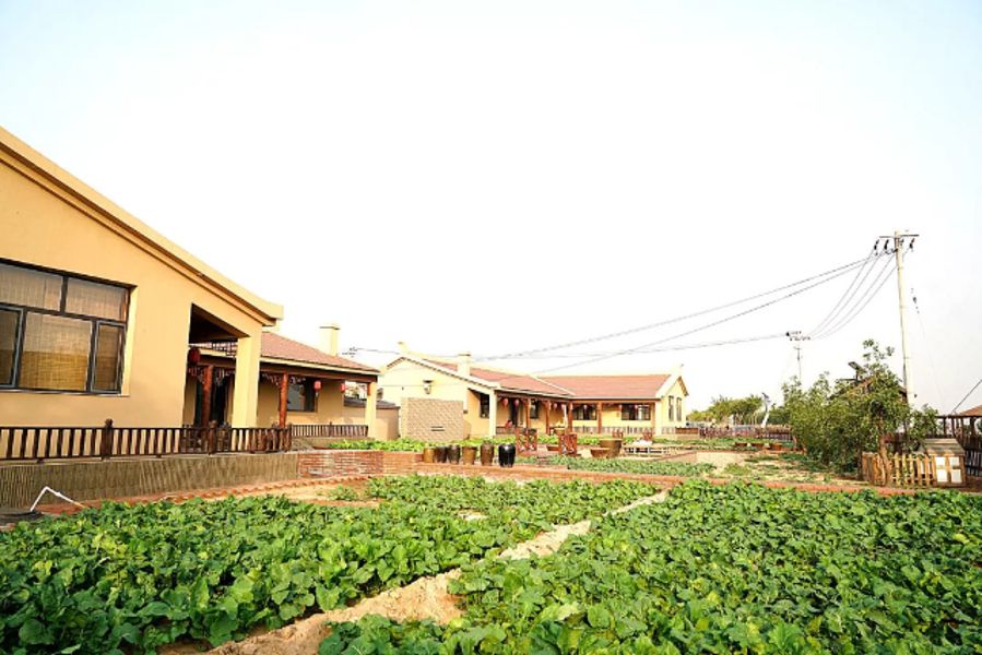 27159935f013ae19213f6b09ee5ca91