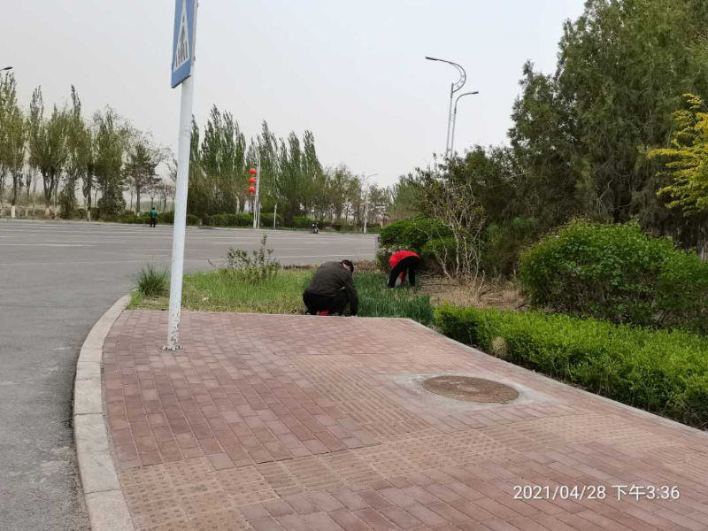 微信图片_20210512155349